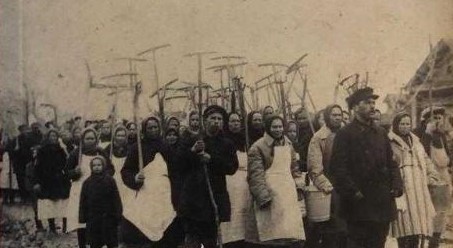 BEYAZ ZAMBAKLAR ÜLKESİNDE